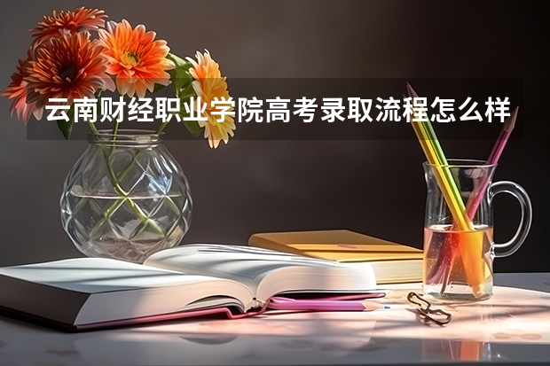 云南财经职业学院高考录取流程怎么样？（高考招生政策）