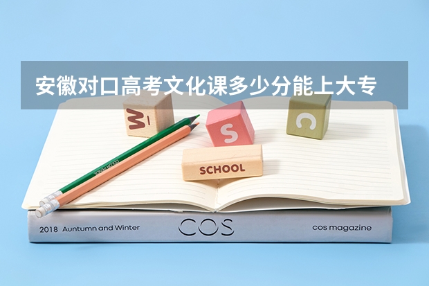 安徽对口高考文化课多少分能上大专