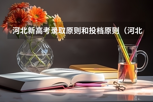 河北新高考录取原则和投档原则（河北省新高考录取规则）