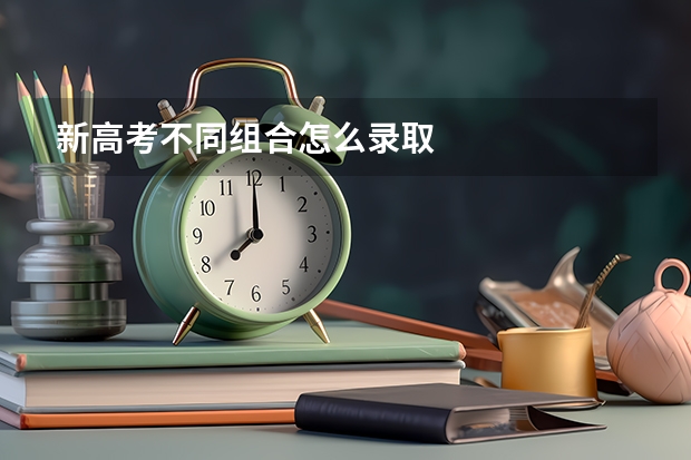新高考不同组合怎么录取