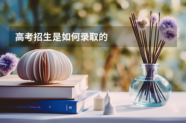 高考招生是如何录取的