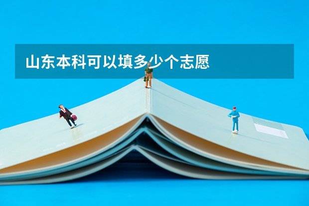 山东本科可以填多少个志愿