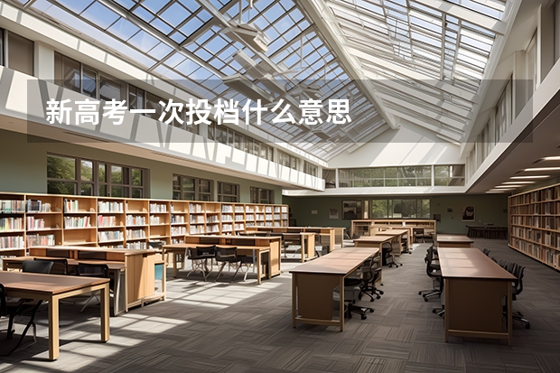 新高考一次投档什么意思