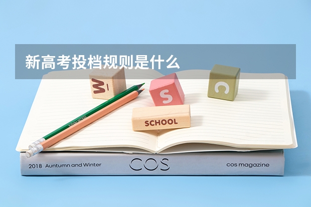 新高考投档规则是什么