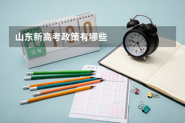 山东新高考政策有哪些
