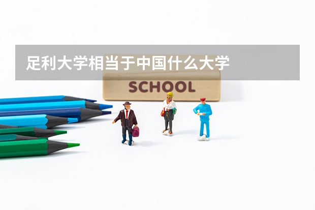 足利大学相当于中国什么大学