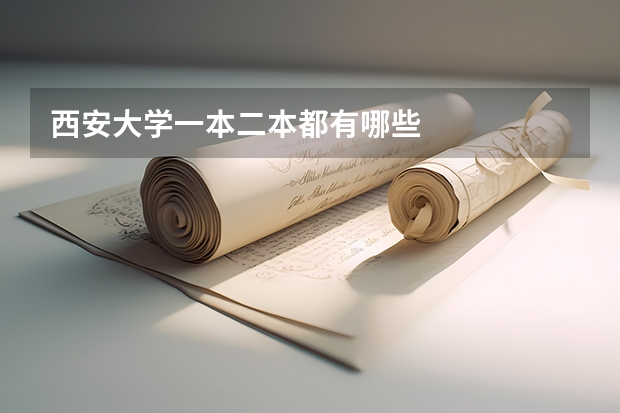 西安大学一本二本都有哪些