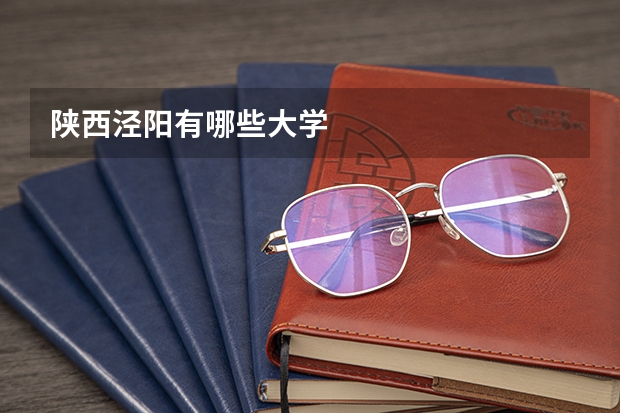 陕西泾阳有哪些大学