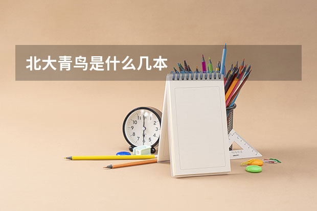 北大青鸟是什么几本
