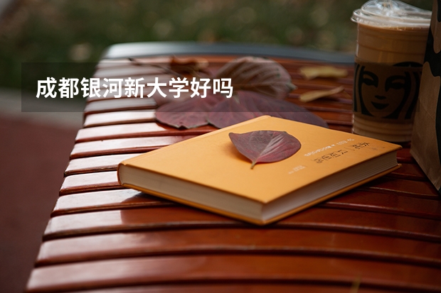 成都银河新大学好吗