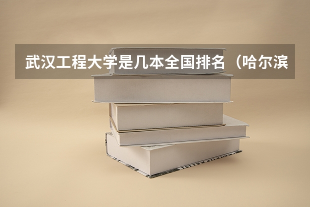 武汉工程大学是几本全国排名（哈尔滨所有大学排名几本）