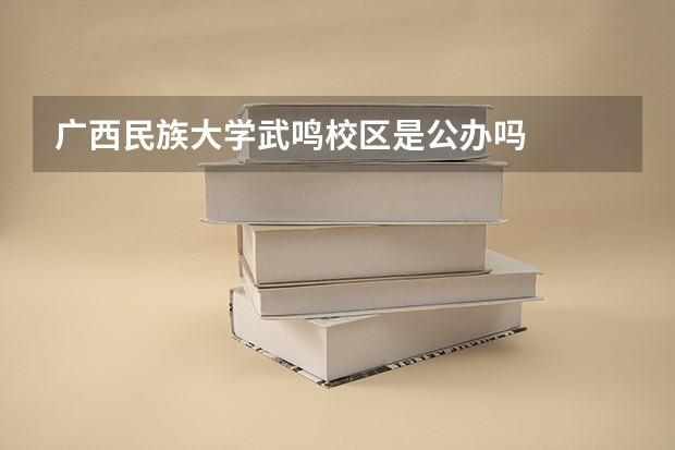 广西民族大学武鸣校区是公办吗