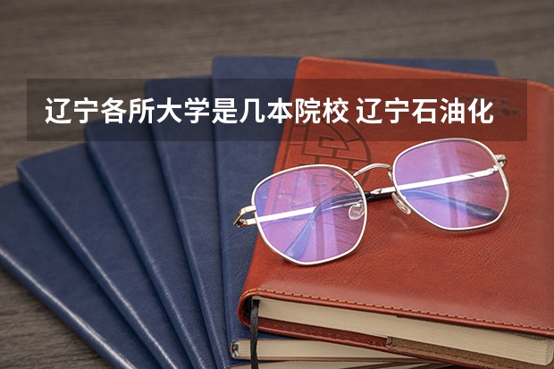 辽宁各所大学是几本院校 辽宁石油化工大学是几本