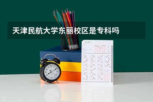 天津民航大学东丽校区是专科吗