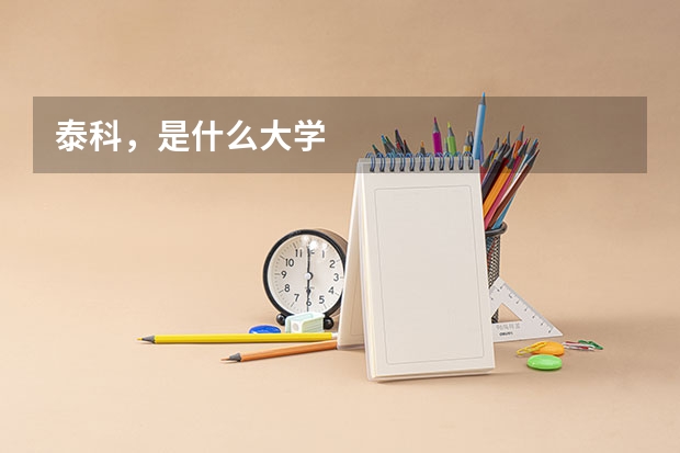 泰科，是什么大学