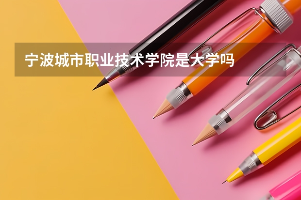 宁波城市职业技术学院是大学吗