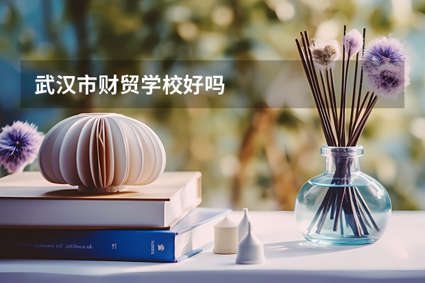 武汉市财贸学校好吗