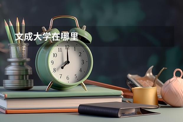 文成大学在哪里