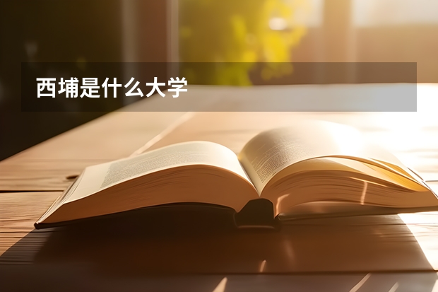 西埔是什么大学