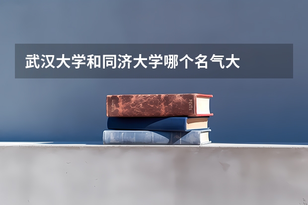 武汉大学和同济大学哪个名气大