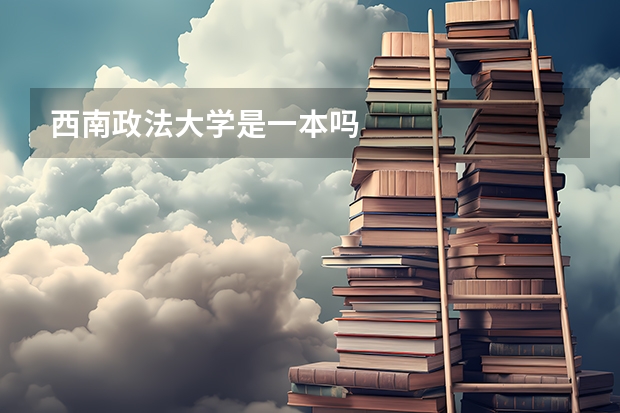 西南政法大学是一本吗