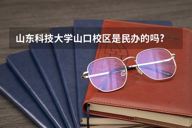 山东科技大学山口校区是民办的吗?