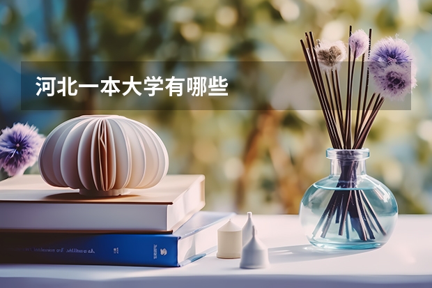 河北一本大学有哪些
