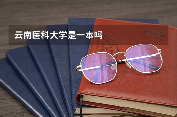 云南医科大学是一本吗