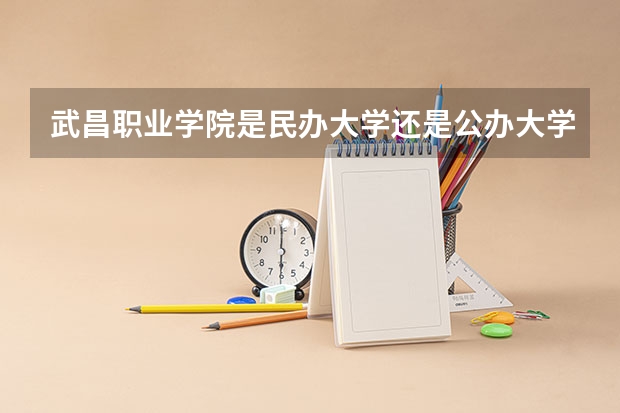 武昌职业学院是民办大学还是公办大学（西安信息职业大学和武昌首义学院那个好）