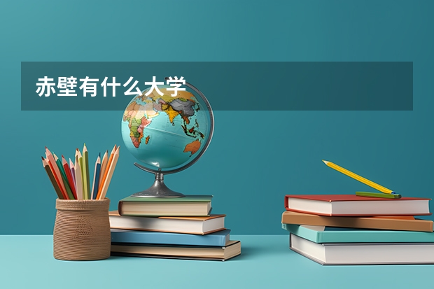 赤壁有什么大学