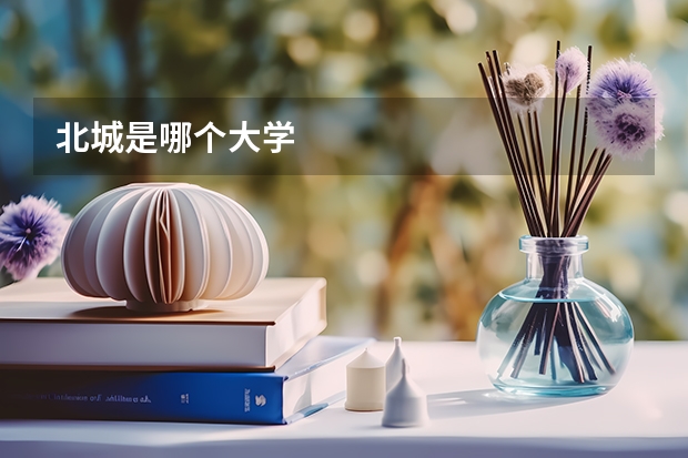 北城是哪个大学