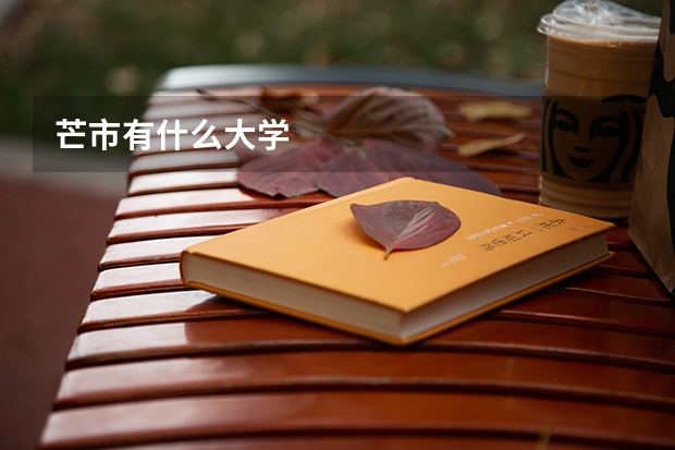 芒市有什么大学