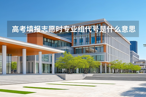 高考填报志愿时专业组代号是什么意思？