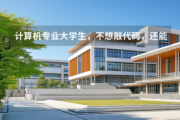 计算机专业大学生，不想敲代码，还能从事什么工作？