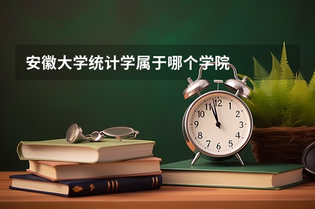 安徽大学统计学属于哪个学院