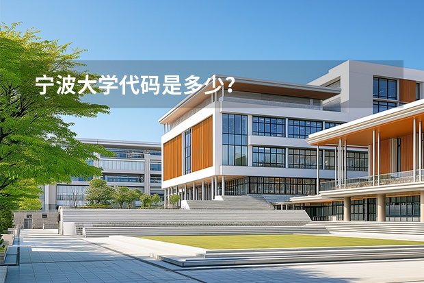 宁波大学代码是多少?