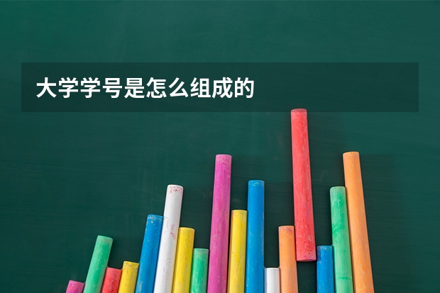 大学学号是怎么组成的