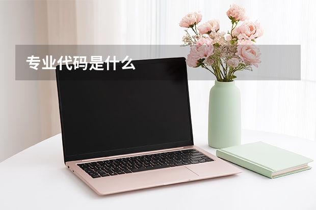 专业代码是什么