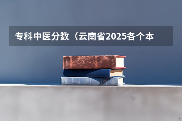 专科中医分数（云南省2025各个本科大学艺考录取分数线）