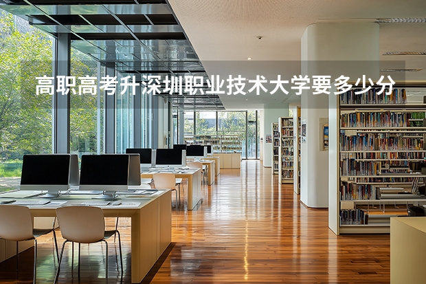 高职高考升深圳职业技术大学要多少分