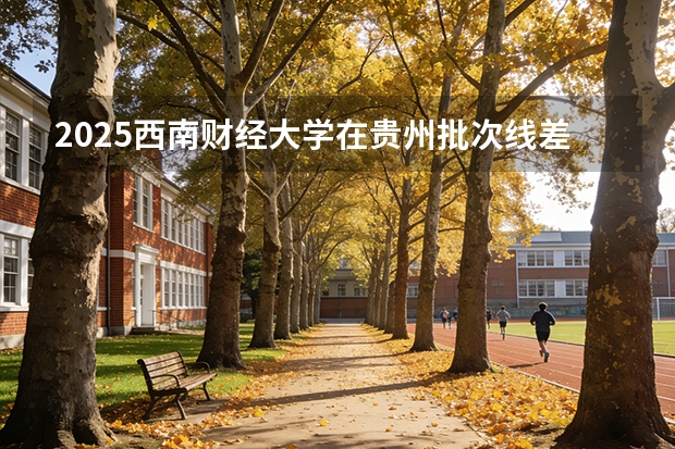 2025西南财经大学在贵州批次线差
