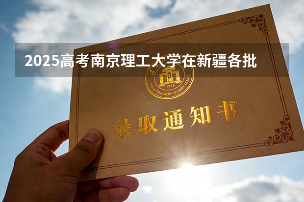 2025高考南京理工大学在新疆各批次选科要求介绍（2026参考） 