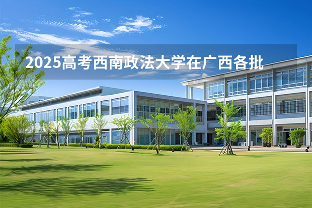2025高考西南政法大学在广西各批次选科要求介绍（2026参考） 