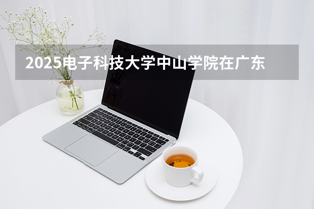 2025电子科技大学中山学院在广东艺术类投档分数线（2026年参考）