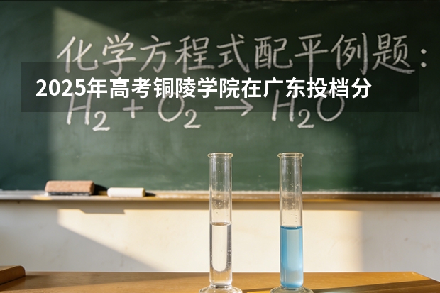 2025年高考铜陵学院在广东投档分数线（2026参考）