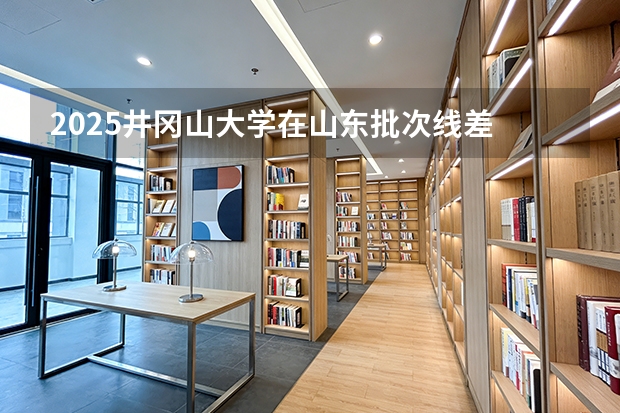2025井冈山大学在山东批次线差