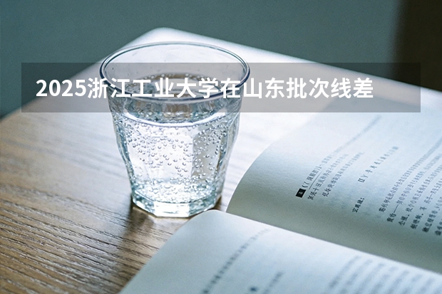 2025浙江工业大学在山东批次线差