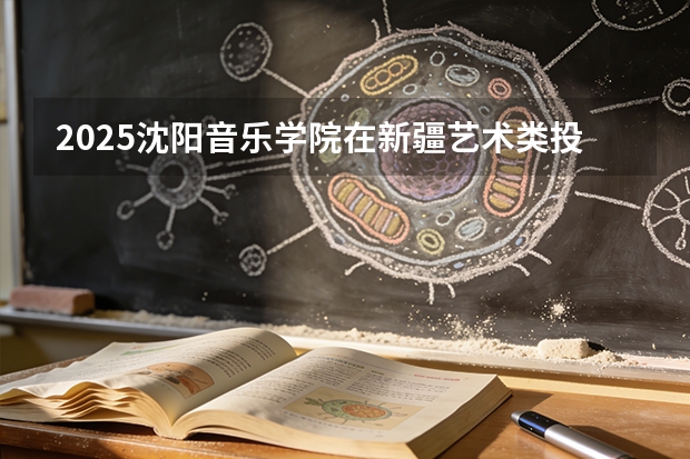 2025沈阳音乐学院在新疆艺术类投档分数线（2026年参考）