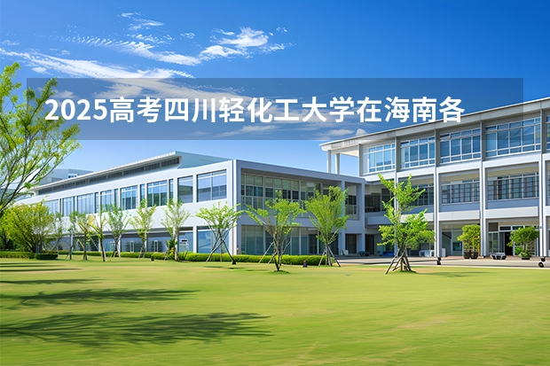 2025高考四川轻化工大学在海南各批次选科要求介绍（2026参考） 