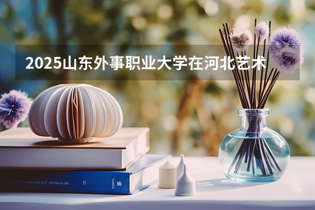 2025山东外事职业大学在河北艺术类投档分数线（2026年参考）